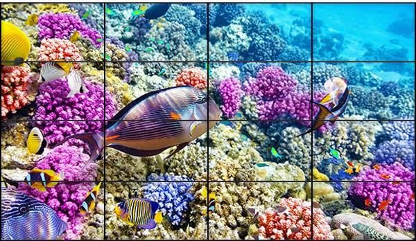 Видеостена 4х4 диагональ 219"