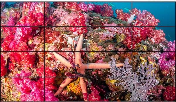 Видеостена 4х4 195"