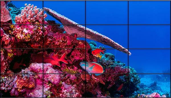 Видеостена 4х4 219"