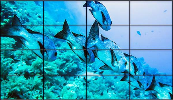 Видеостена 4х4 219 дюймов