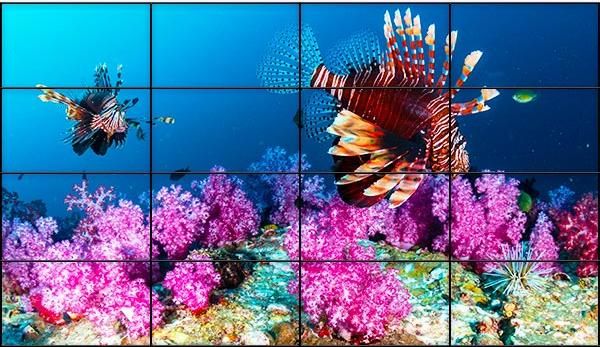 Видеостена 4х4 с диагональю 219"